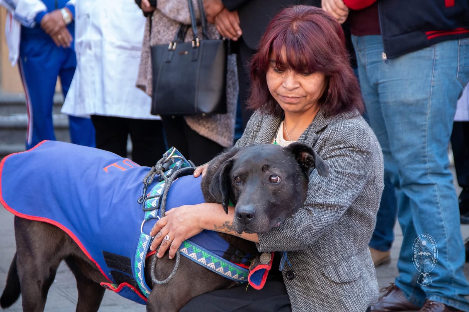 San Roque llega a la UMSA con salud, cuidados y mucho cariño para los peluditos